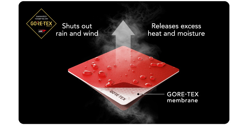 GORE-TEX Fabric Structure (3-layer)