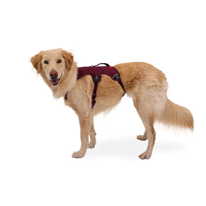 ラフウェア　ウェブマスター　犬用　ハーネス　XXS モンベル ウェブマスターハーネス | Montbell Japan