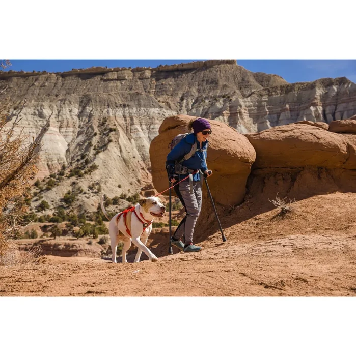 ラフウェア ウェブマスターハーネス XS モンベル ウェブマスターハーネス | Ruffwear JAPAN