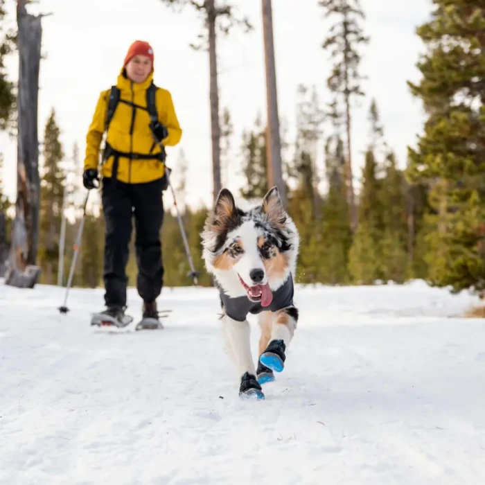 ポーラートレックス 2個セット | Montbell America