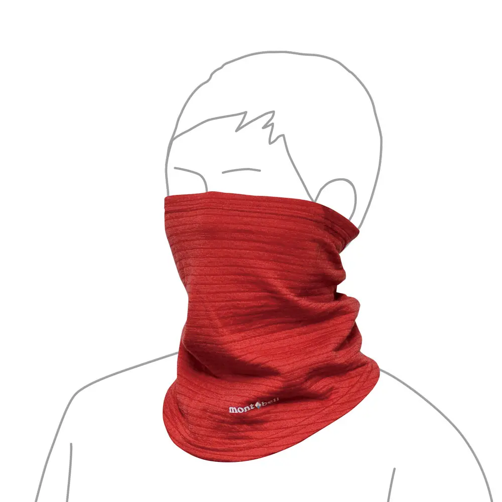 Armadillo Merino | Mysite