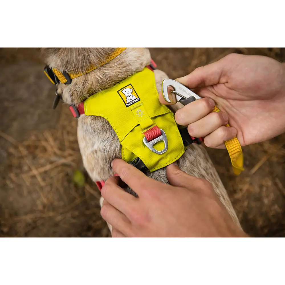 Hi & Light Harness | Montbell America