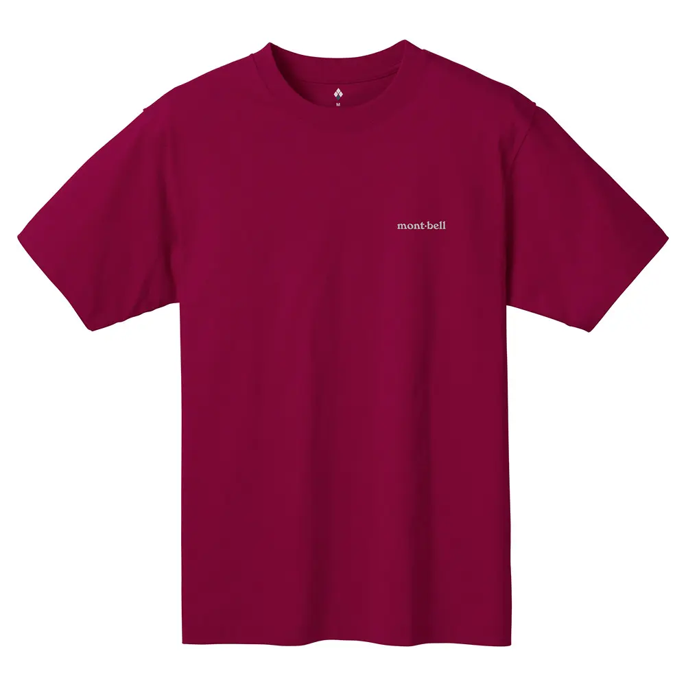 L-style ダートベア Tシャツ ミニタオル ラッキーコイン 楽天 ダートベア L-style Tシャツ ラッキーコイン ミニタオル